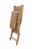 TROPICA STEAMER
