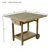 DANICA SERVING CART